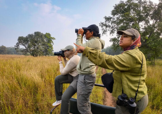 Tadoba Jungle Safari | TravelerTrisha.com