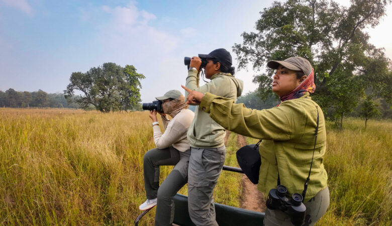 Tadoba Jungle Safari | TravelerTrisha.com